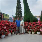 Vậ