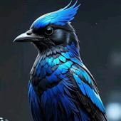 Xì