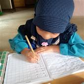 Lử
