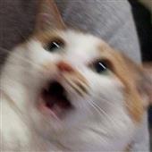 In