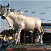 VỪ