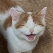 Kẹ