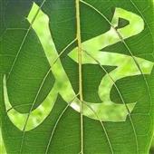 Ma