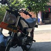 tr