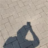 WO