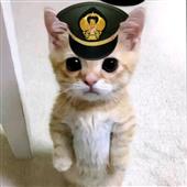 Cr