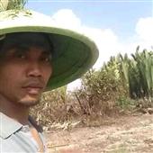 Kỷ