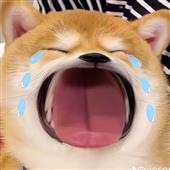 Bl