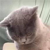 Th