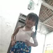 Gi