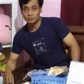 Bi
