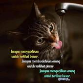 Cu