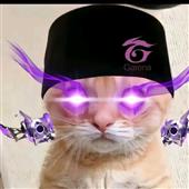 Vu