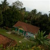 Di