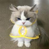 Mu