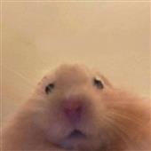 Ki