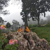 Lị