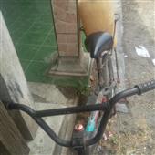 Nữ