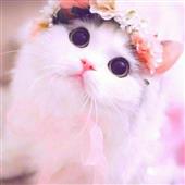 Mậ