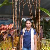 Củ