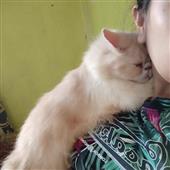 Đạ