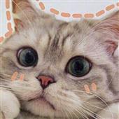 Tu