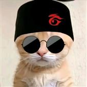 Độ