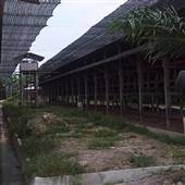 Đá