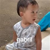 Gấ