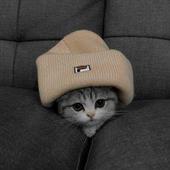 Đo