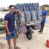 Dự