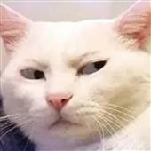 Tê