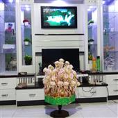 VỪ