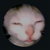 Ho