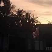 Xe