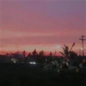 Củ