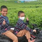 Sự