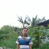 Vu