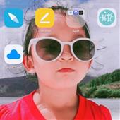 Si