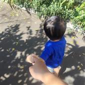 Vậ