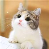 Rồ