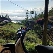 Tr