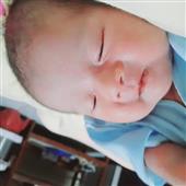 Bầ