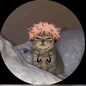 Fi