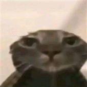 Ba
