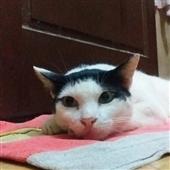Tê