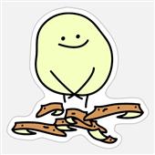 Ng