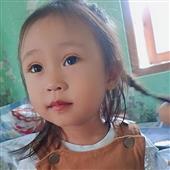 Bầ