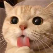 Ho