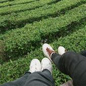 Lễ